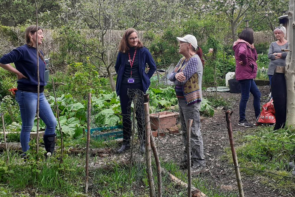 leeds-allotment-provides-boost-to-mental-health-humankind